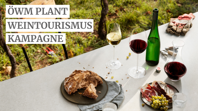 Weintourismus Im Fokus