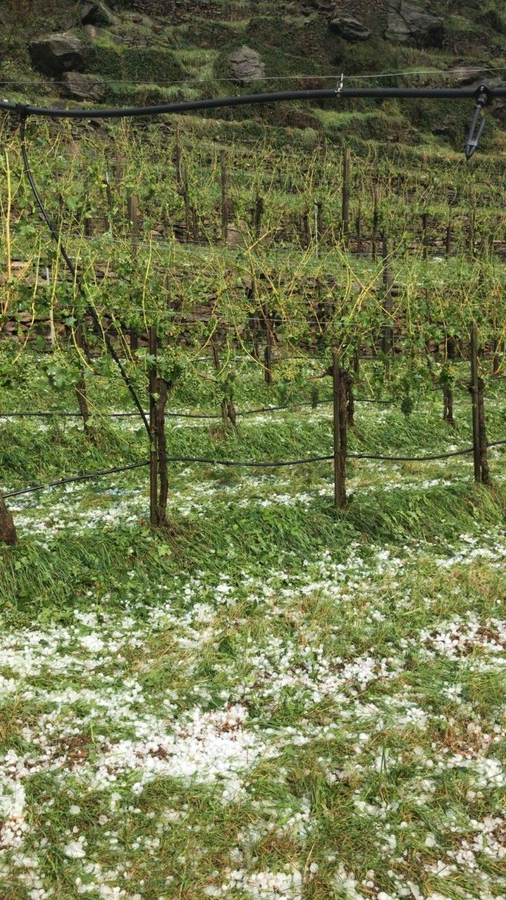 Erneut schwere Unwetter in Niederösterreich