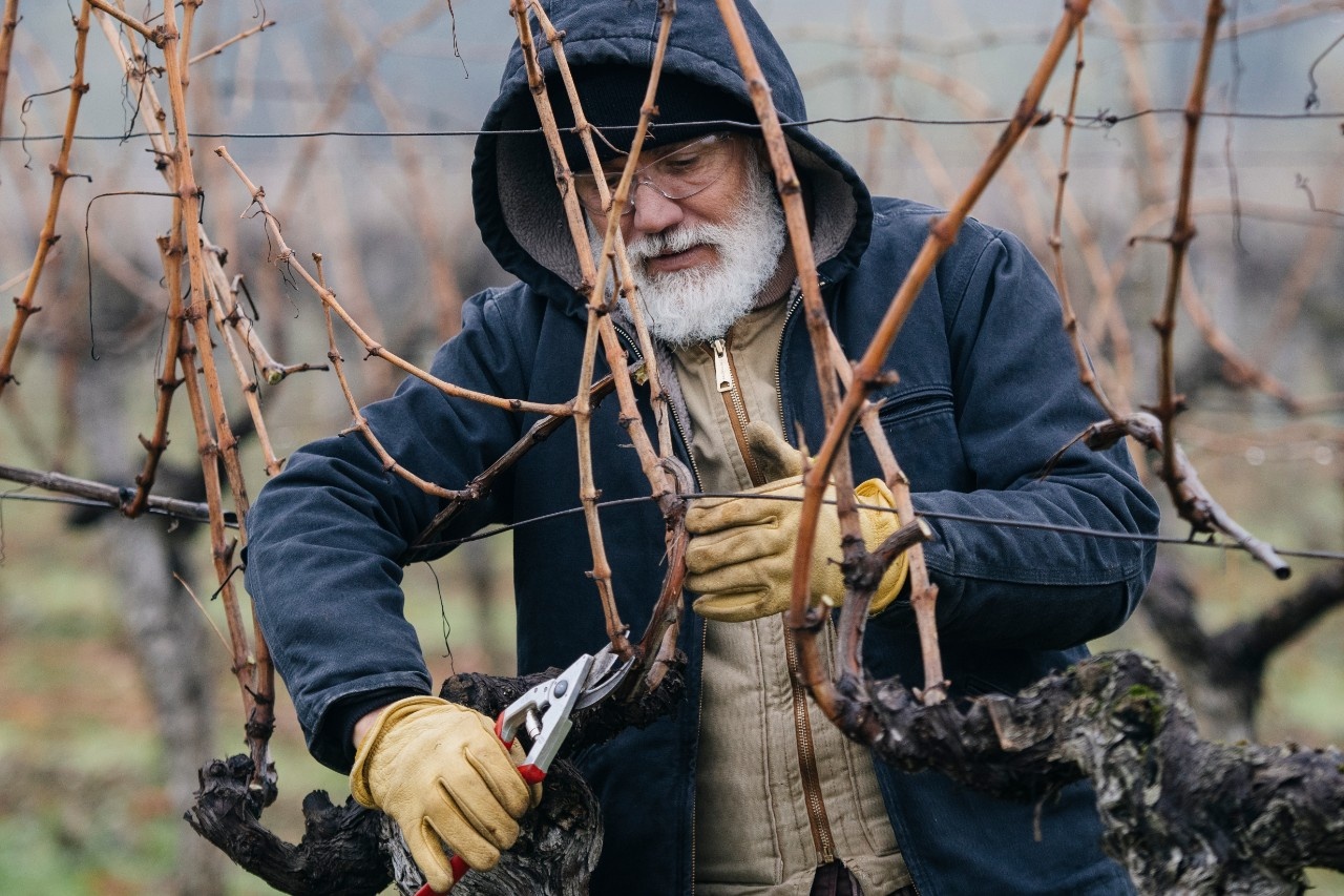 Gentle pruning on the Arlberg